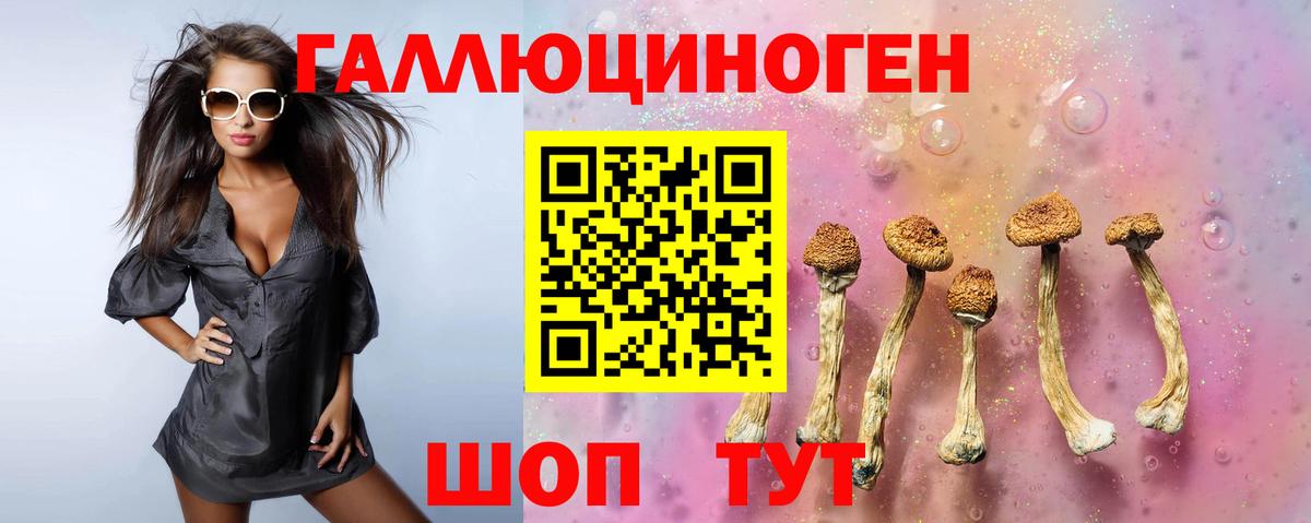 Псилоцибиновые грибы Cubensis Сургут