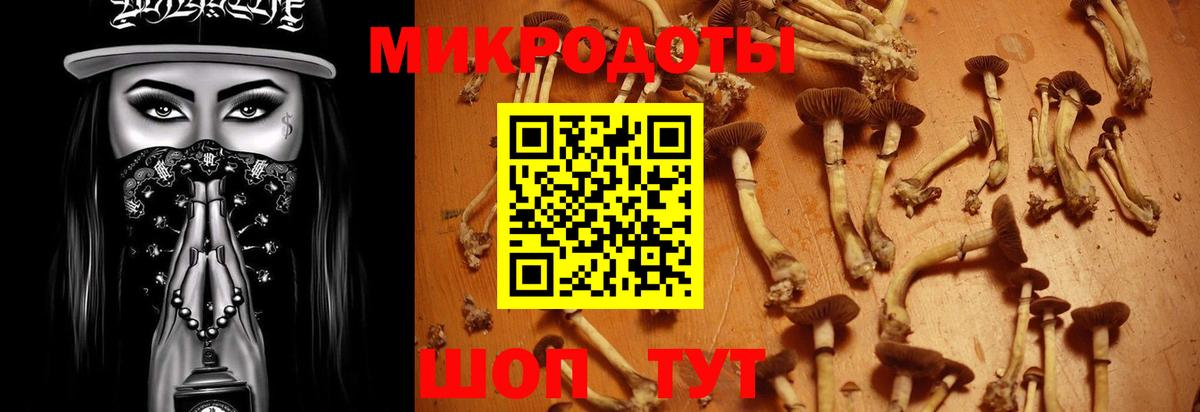 Сургут  Галлюциногенные грибы Magic Shrooms  где продают   Галлюциногенные грибы Psilocybe  Вход с VPN 